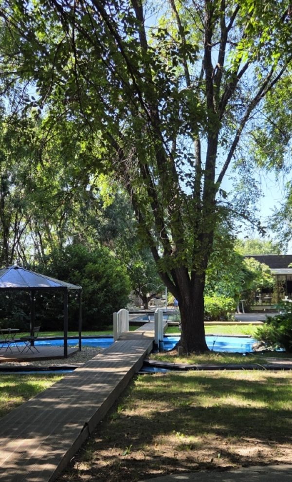 Locatiile TreeHouse - locatii de nunti in aer liber in natura - top locatii de nunta la padure-piscina