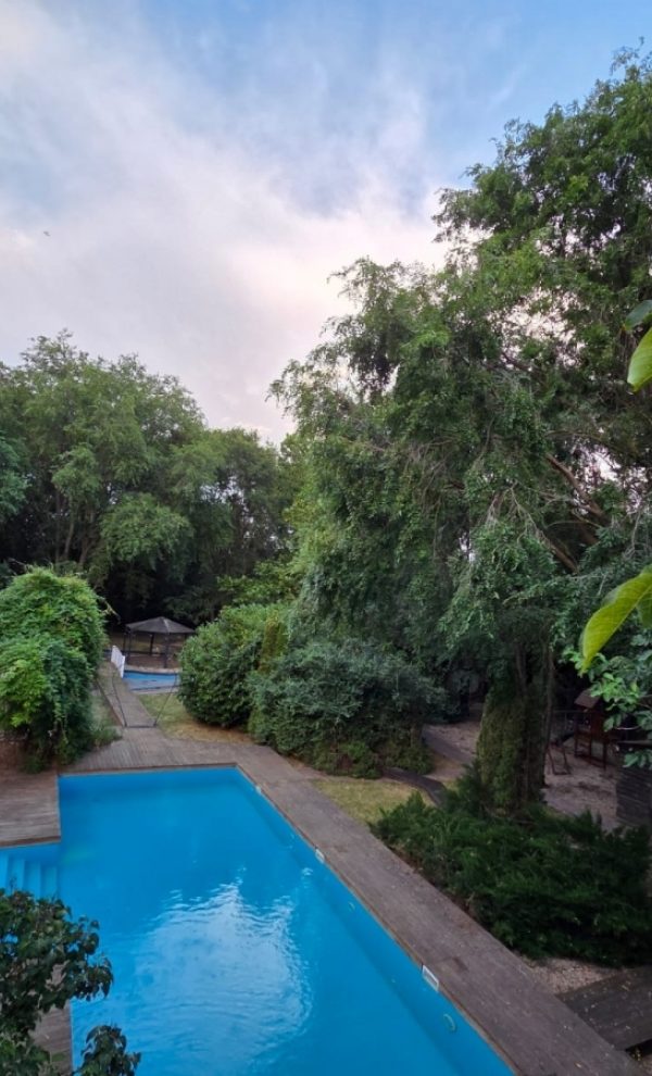 Locatiile TreeHouse - locatii de nunti in aer liber in natura - top locatii de nunta la padure-piscina